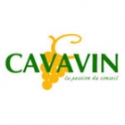 Cavavin Saint-nazaire